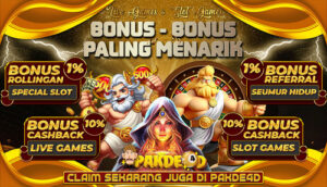 pakde4d-banner3